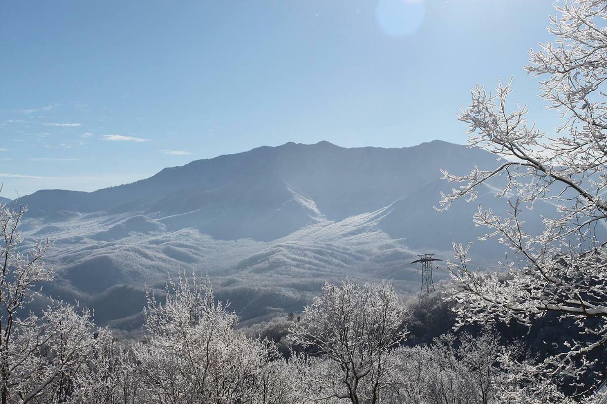 Gatlinburg Mountain Condo エクステリア 写真