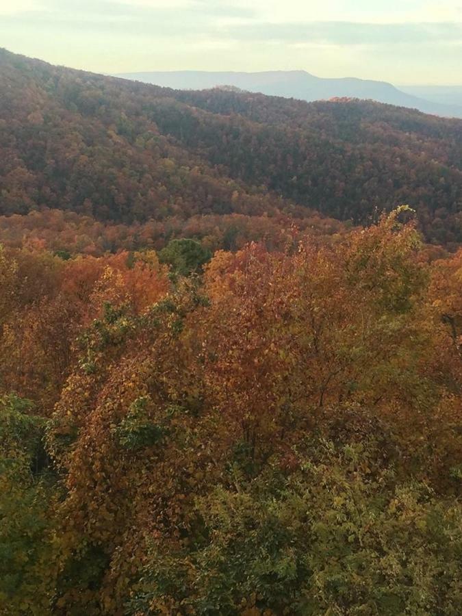 Gatlinburg Mountain Condo エクステリア 写真