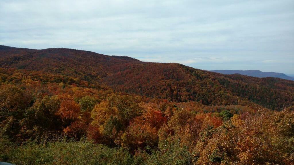 Gatlinburg Mountain Condo エクステリア 写真